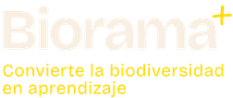 cropped 3.png